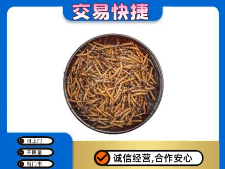 伊春市友好高价回收散虫草